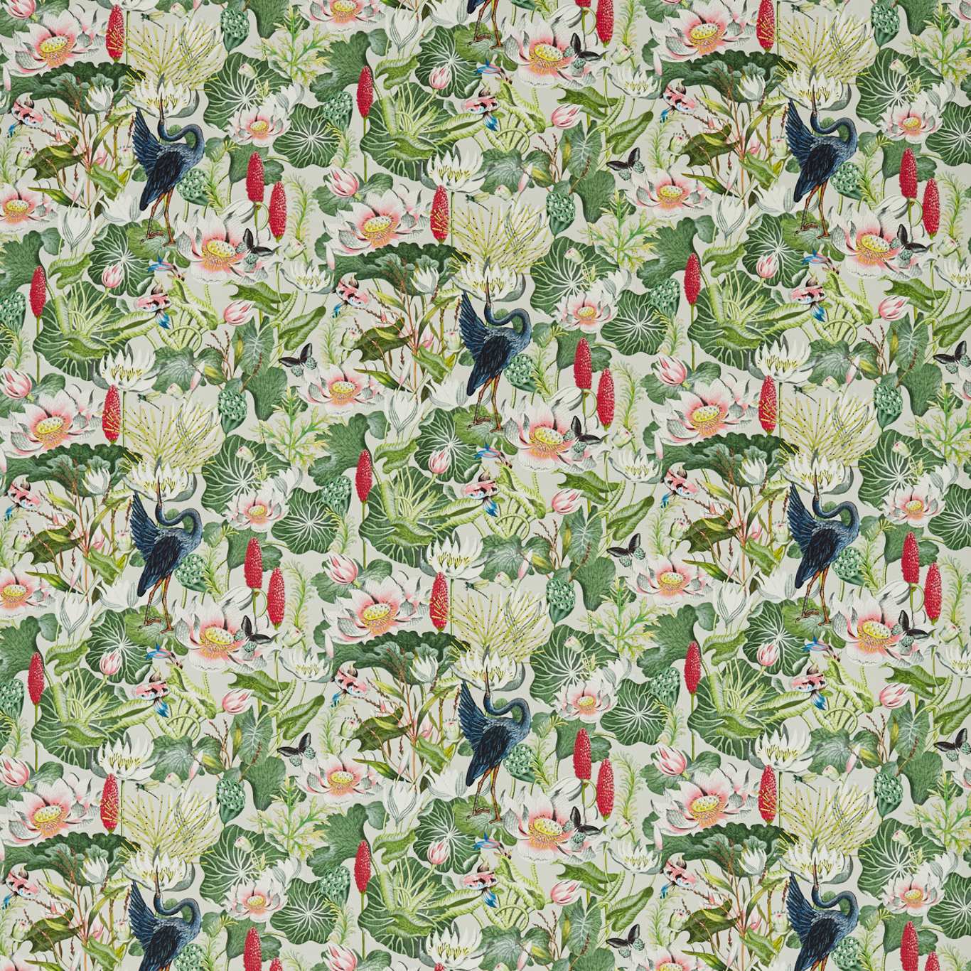 Waterlily Wedgwood