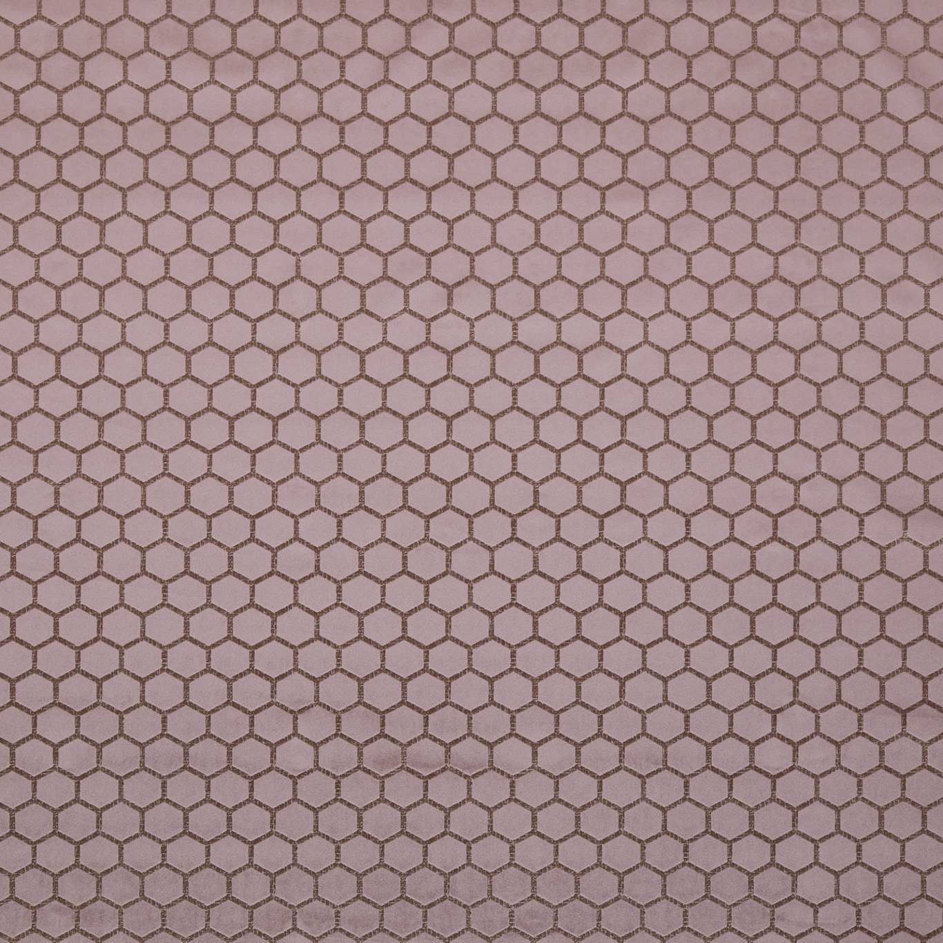 Hexa