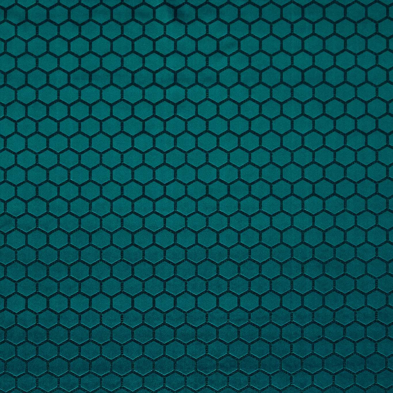 Hexa