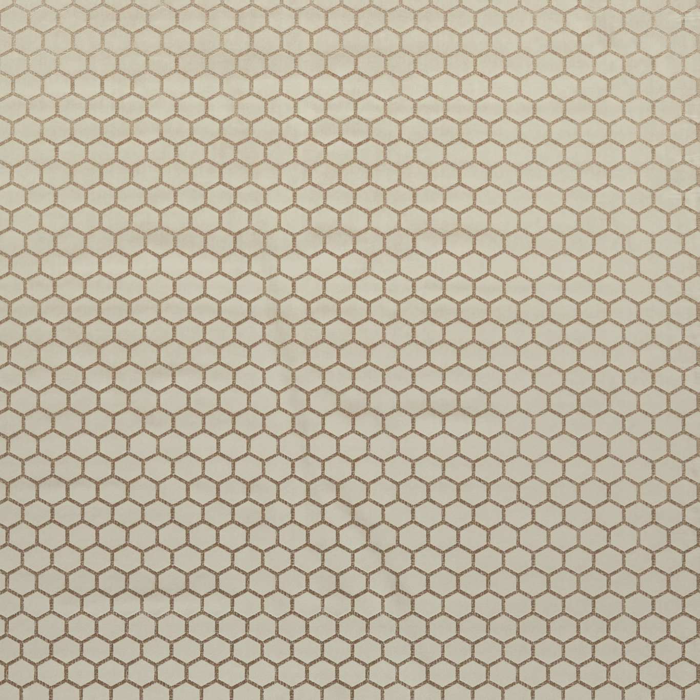 Hexa