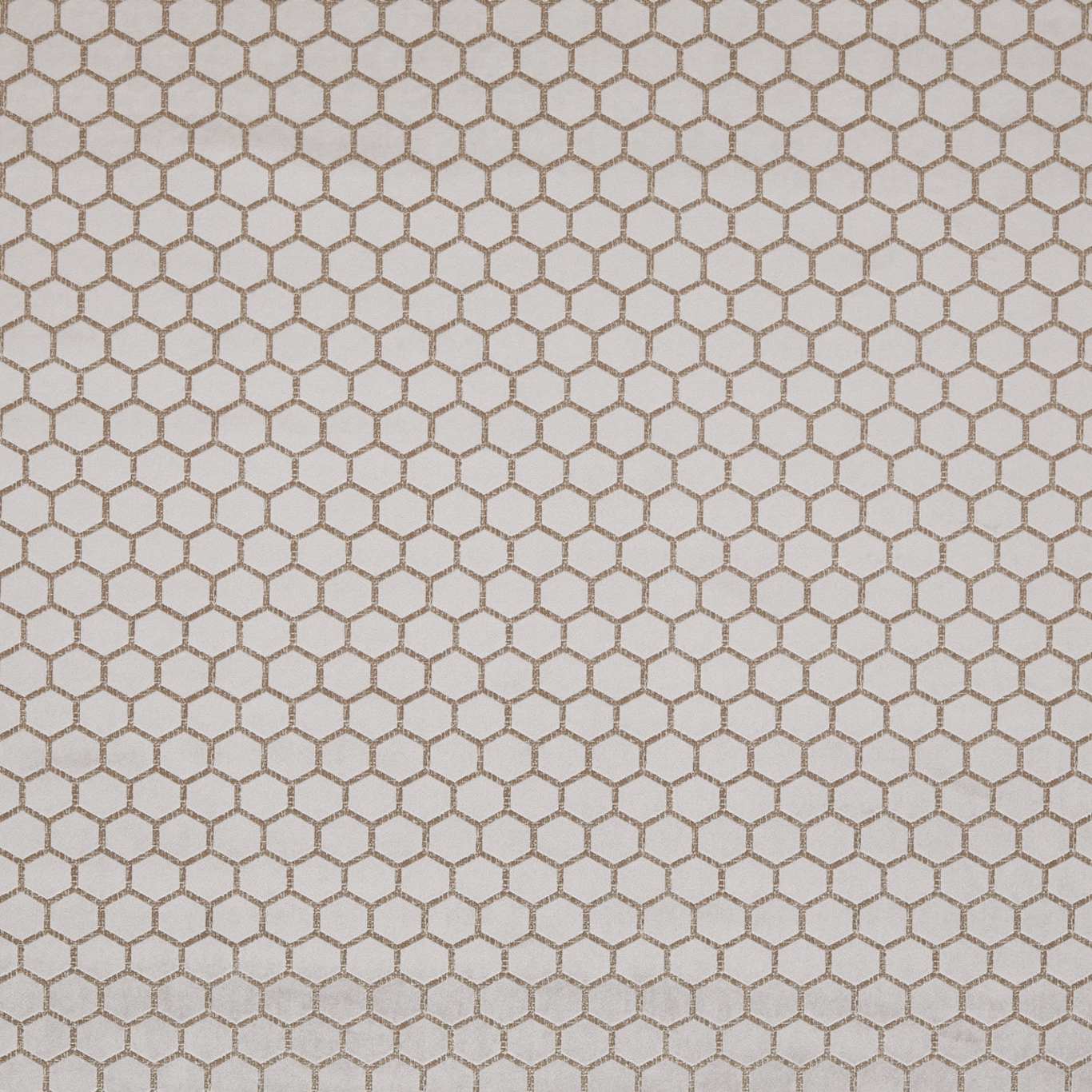 Hexa