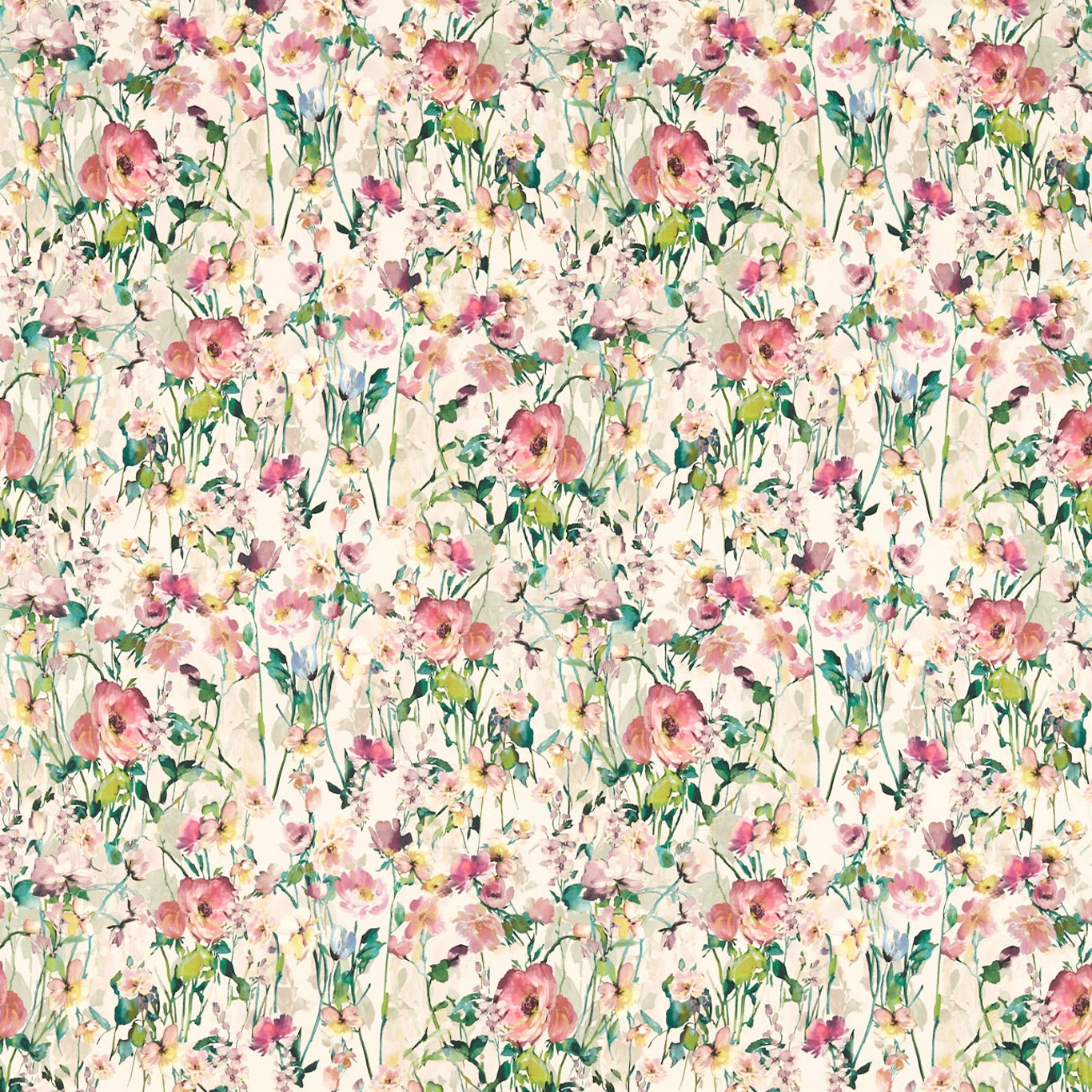 Wild Meadow