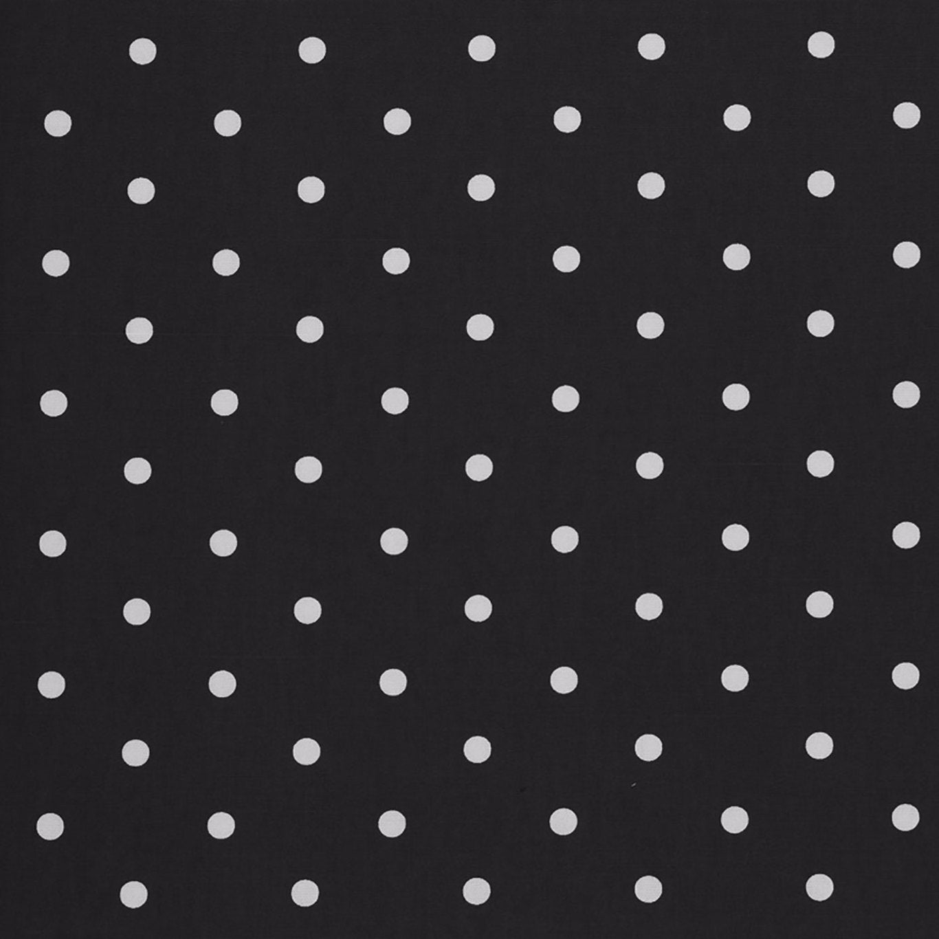 Dotty