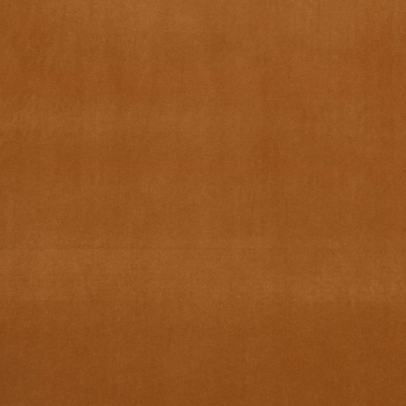 Alvar