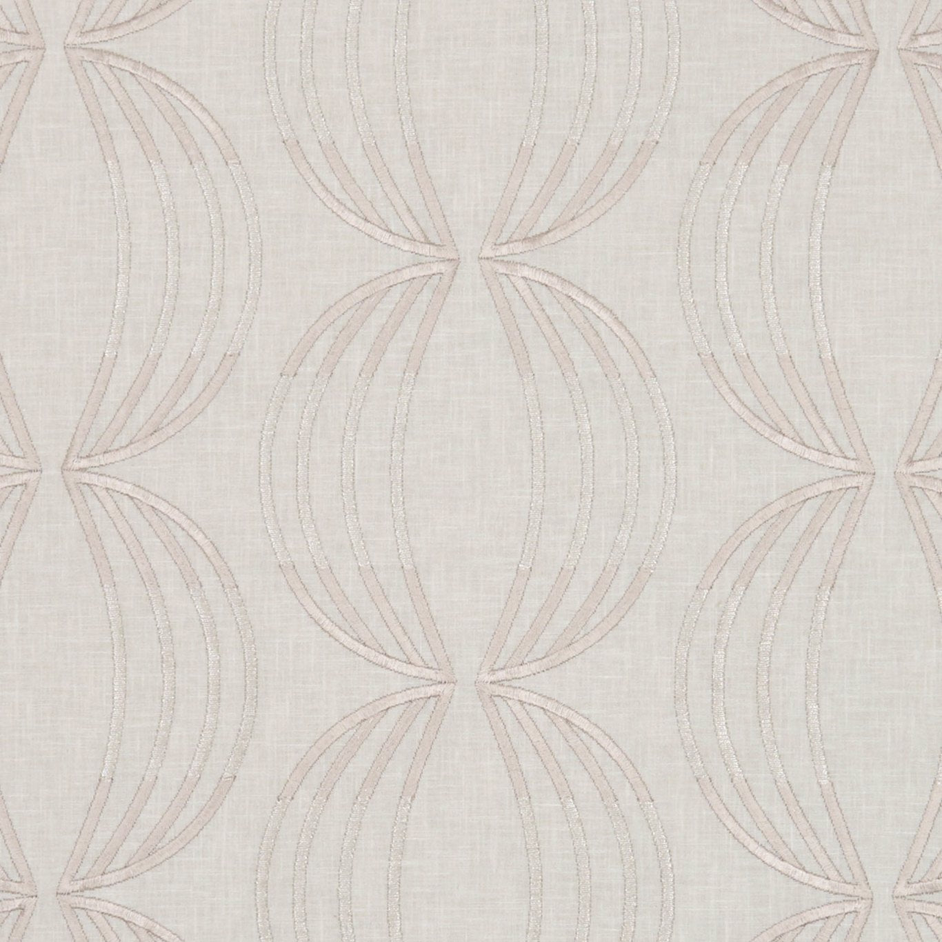 Carraway Rose