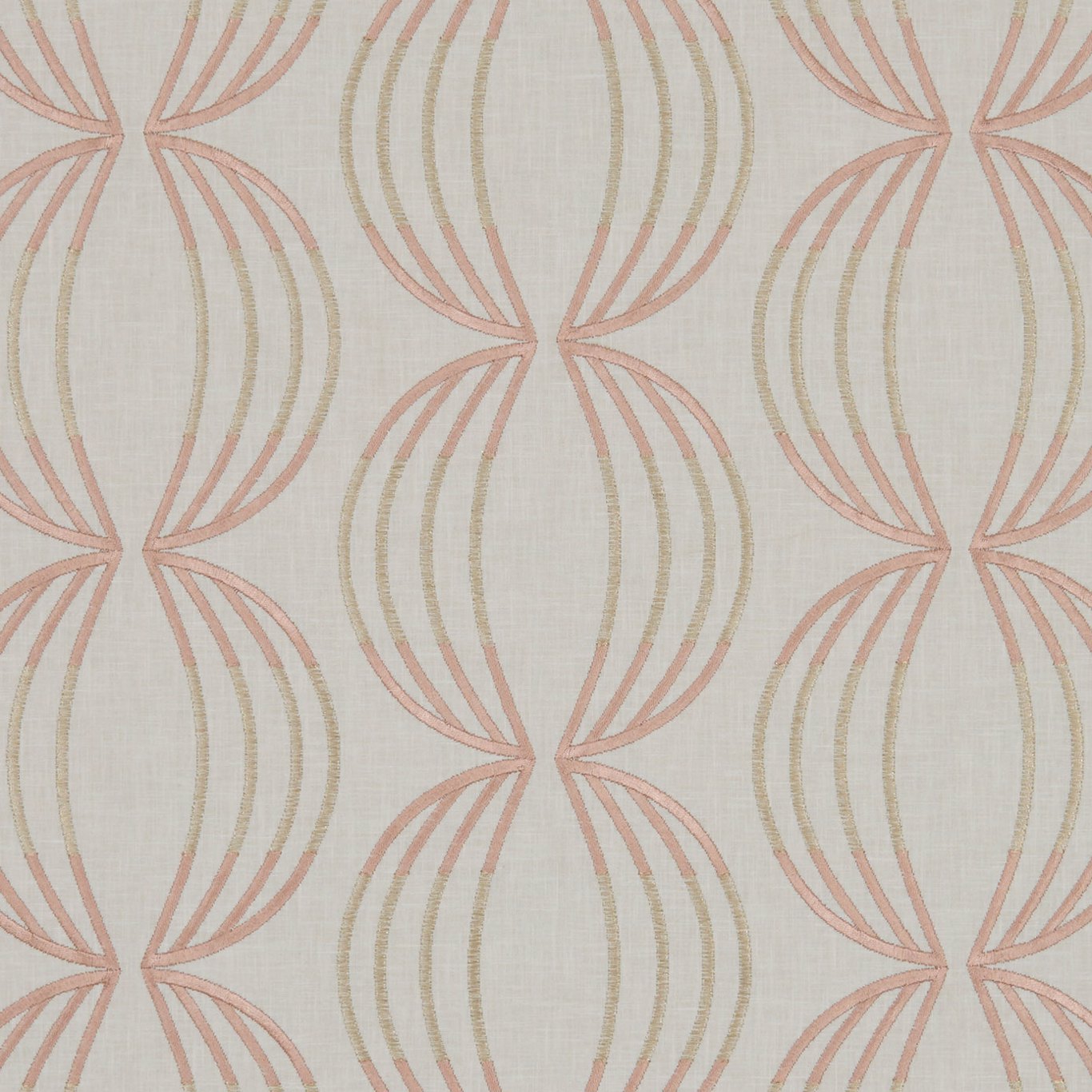 Carraway Rose