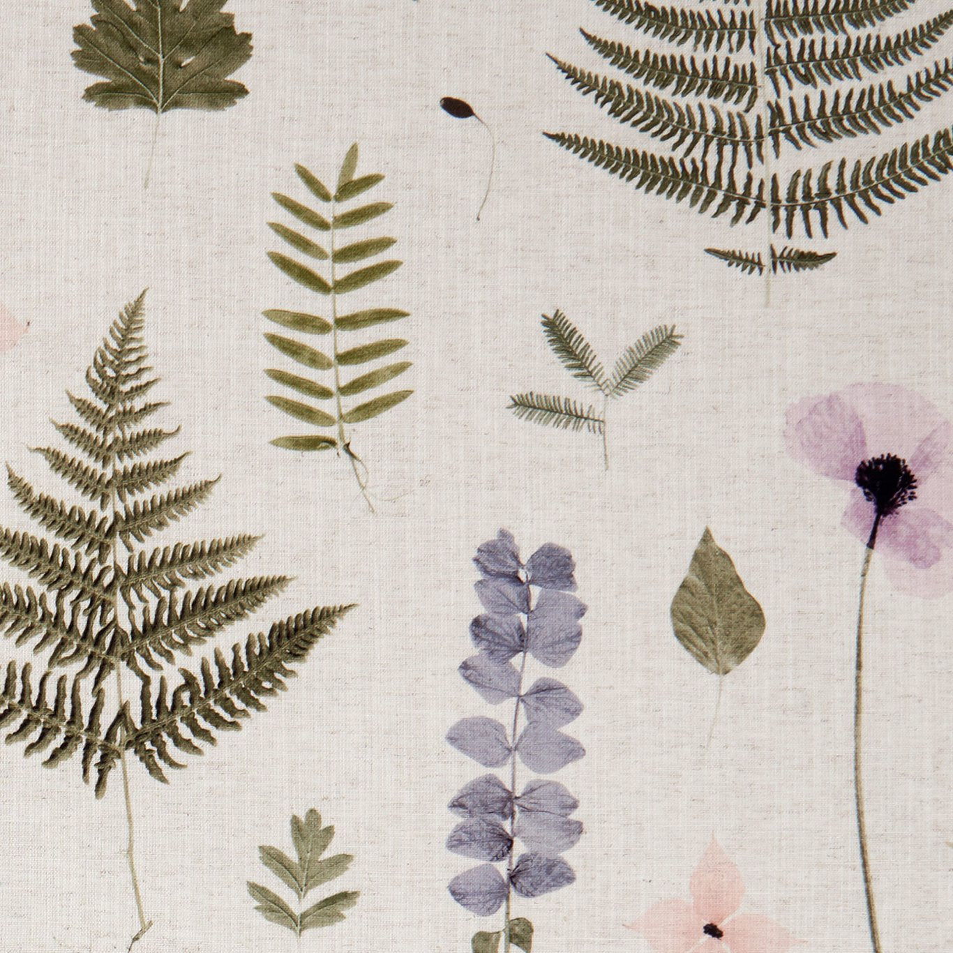 Herbarium