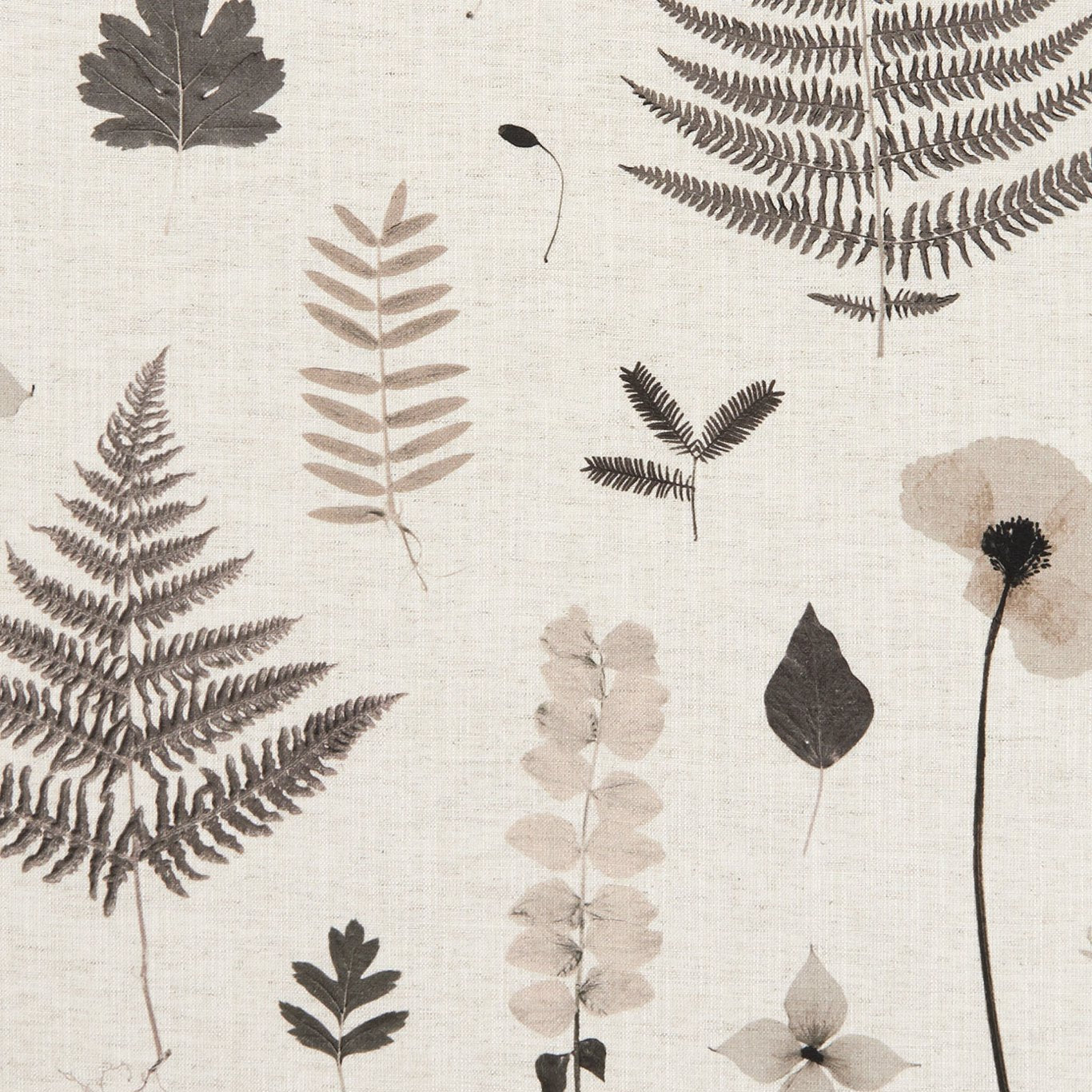 Herbarium
