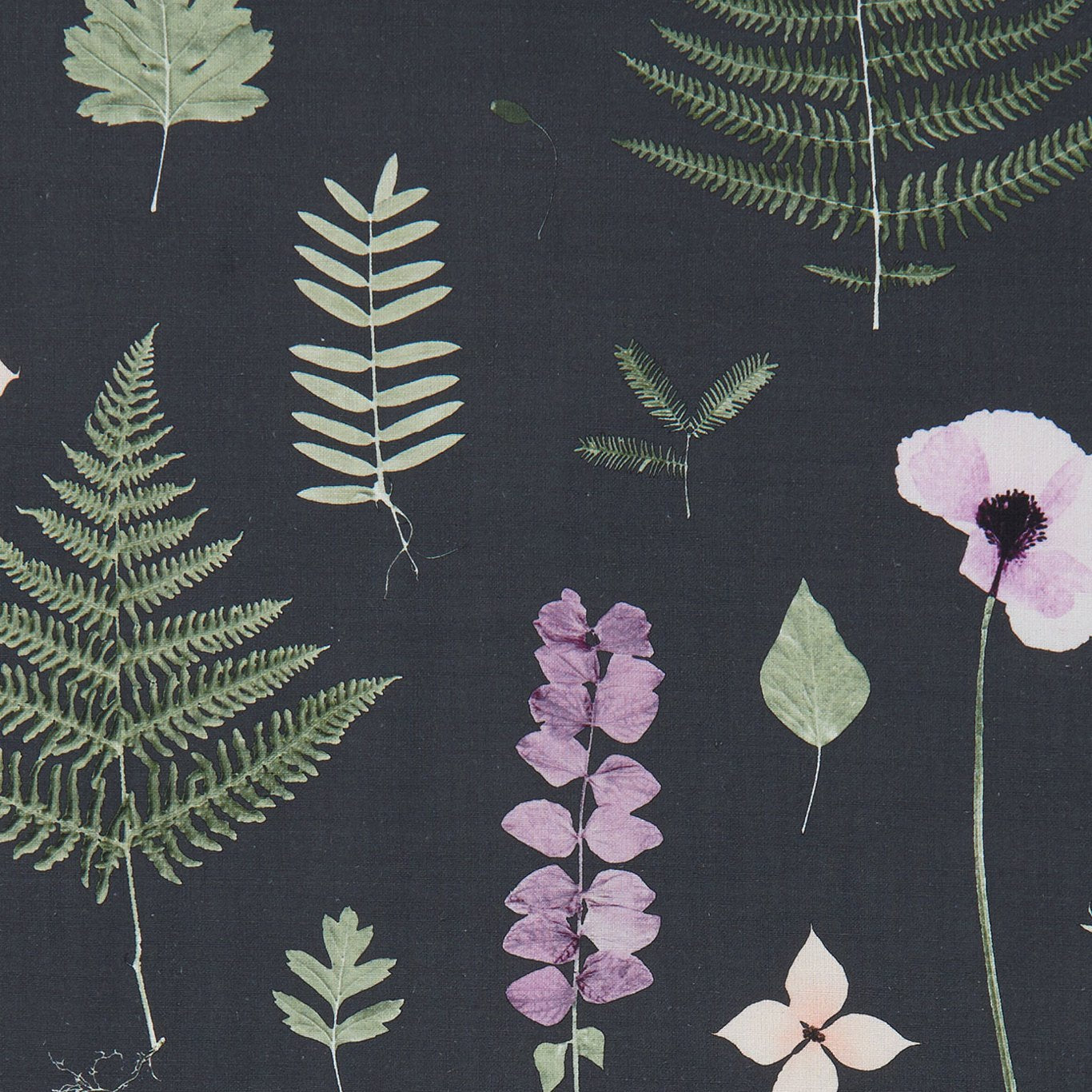 Herbarium