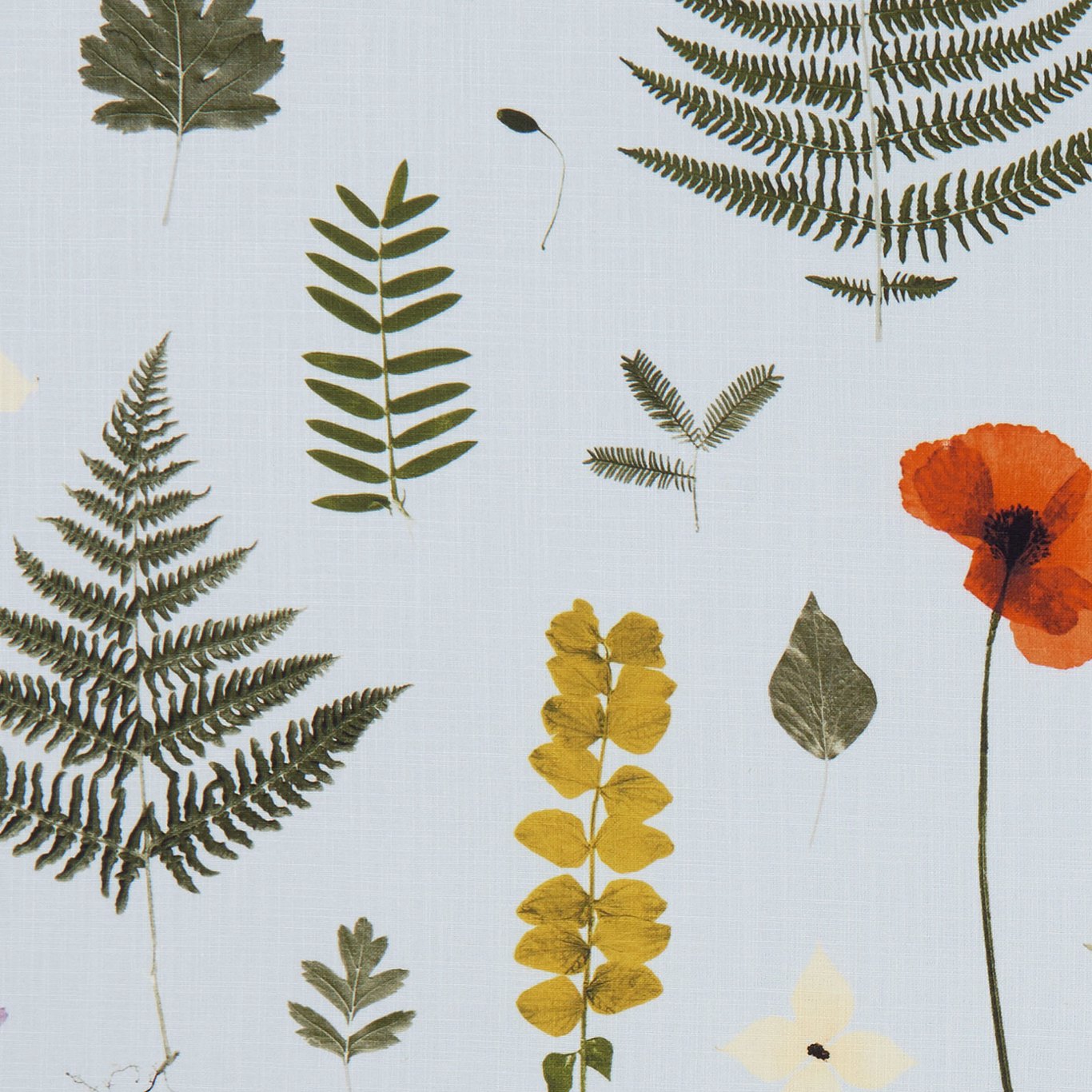 Herbarium