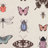 Papilio