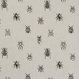 Beetle