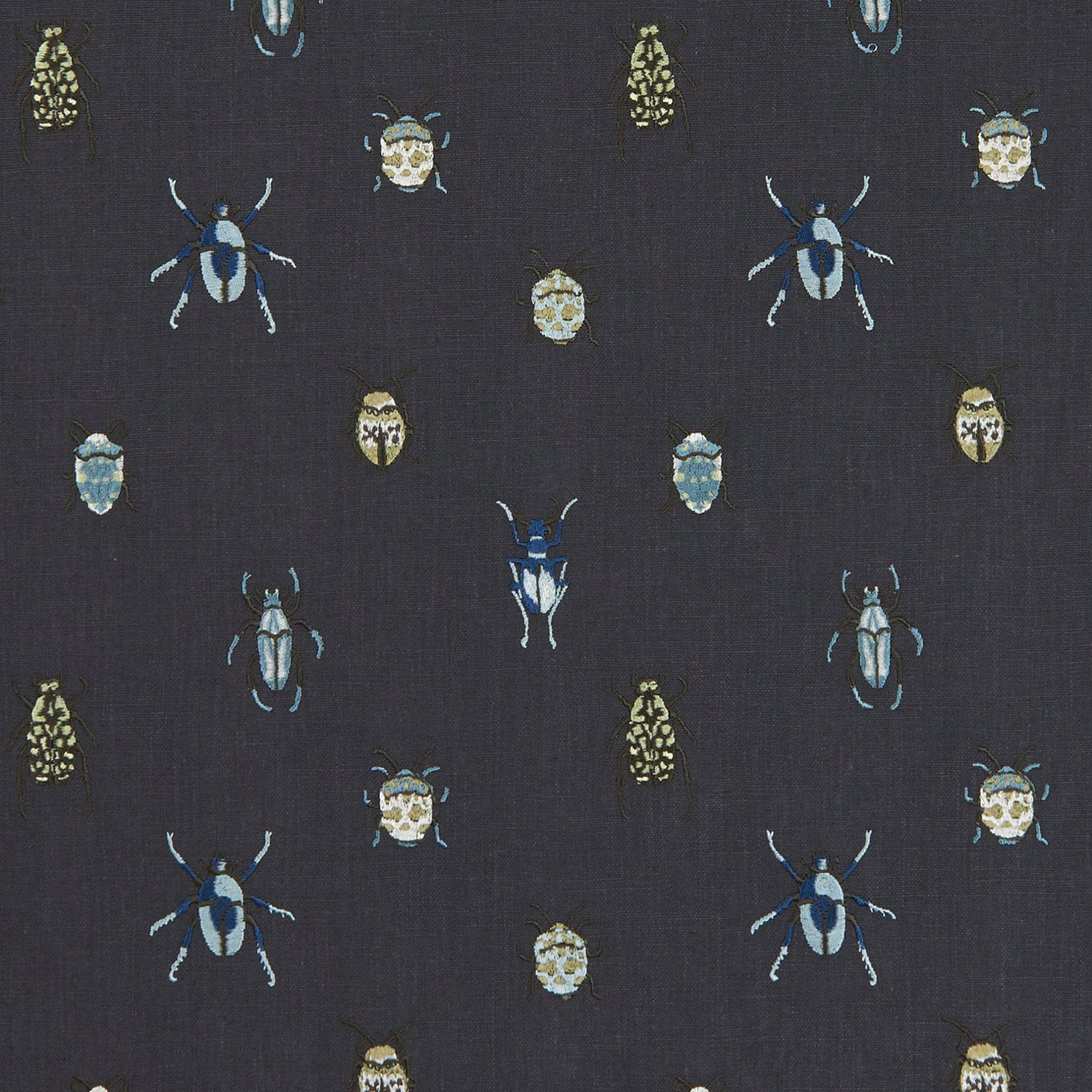 Beetle