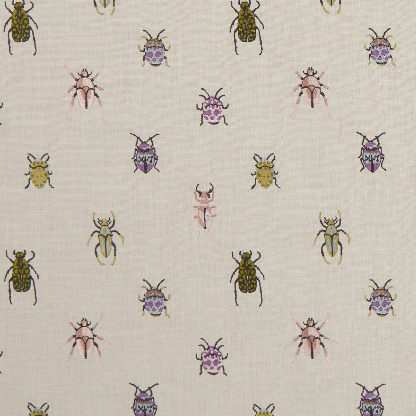 Beetle