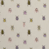 Beetle