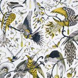 Audubon