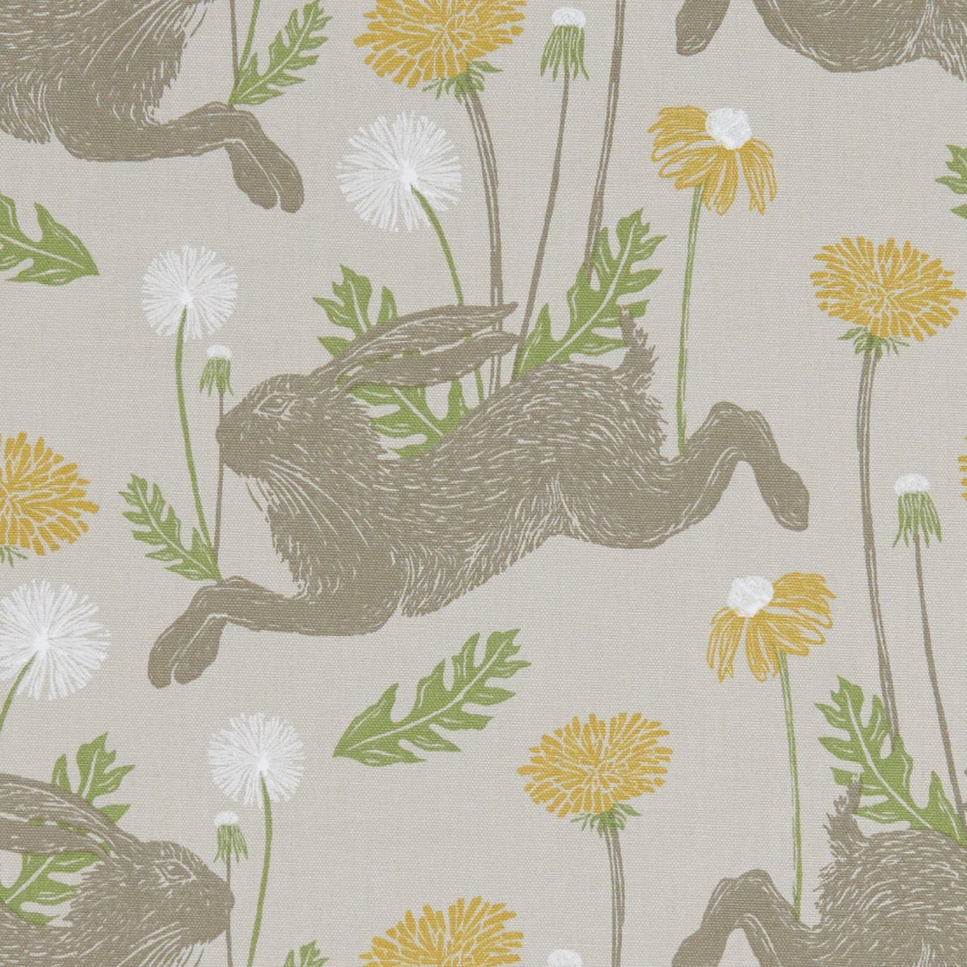 March Hare