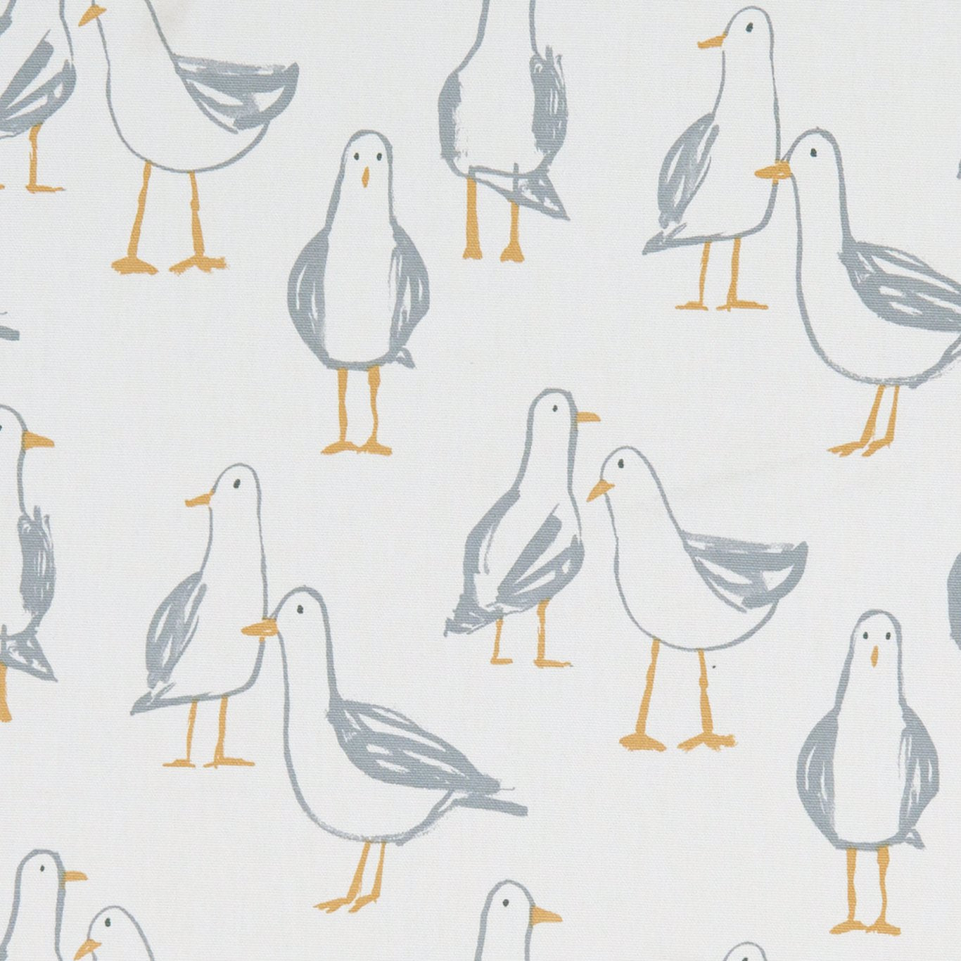 Laridae
