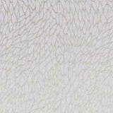 Corallino Sheer