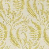 Folium