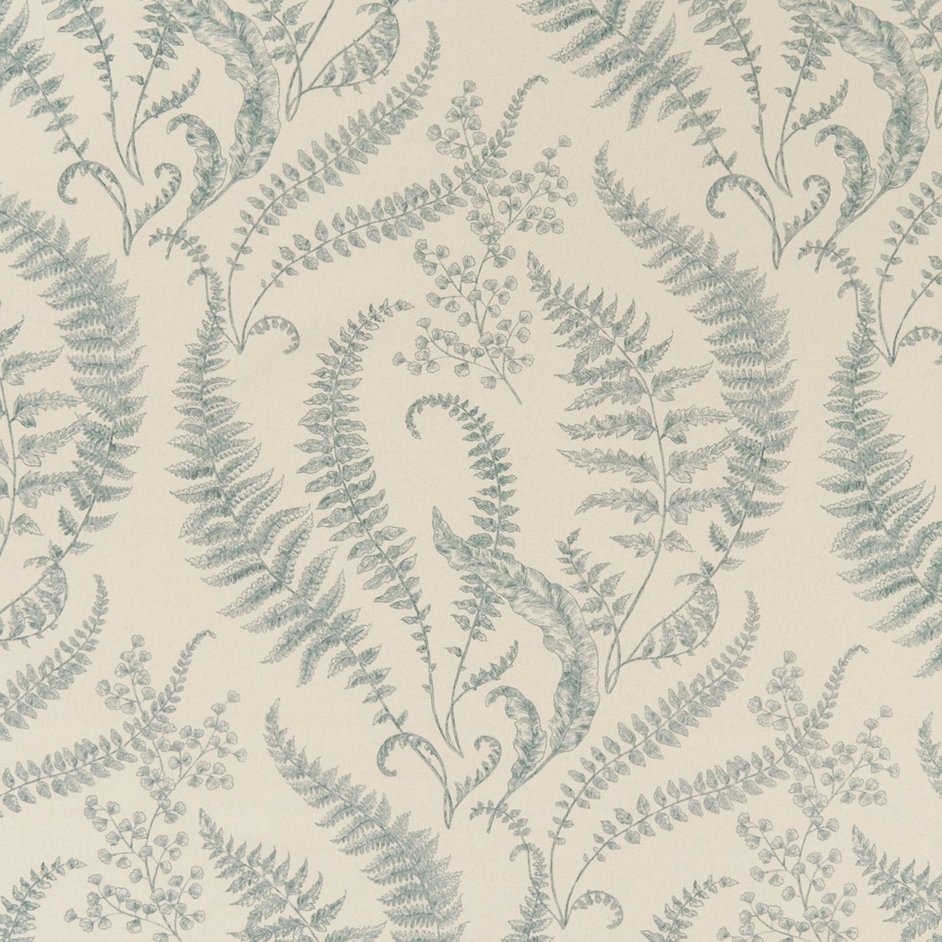 Folium