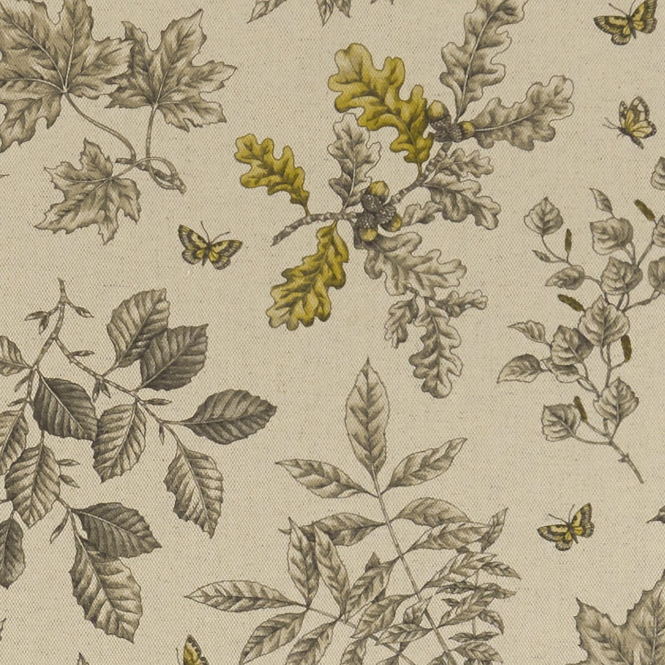 Hortus