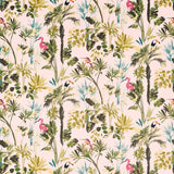 Palm