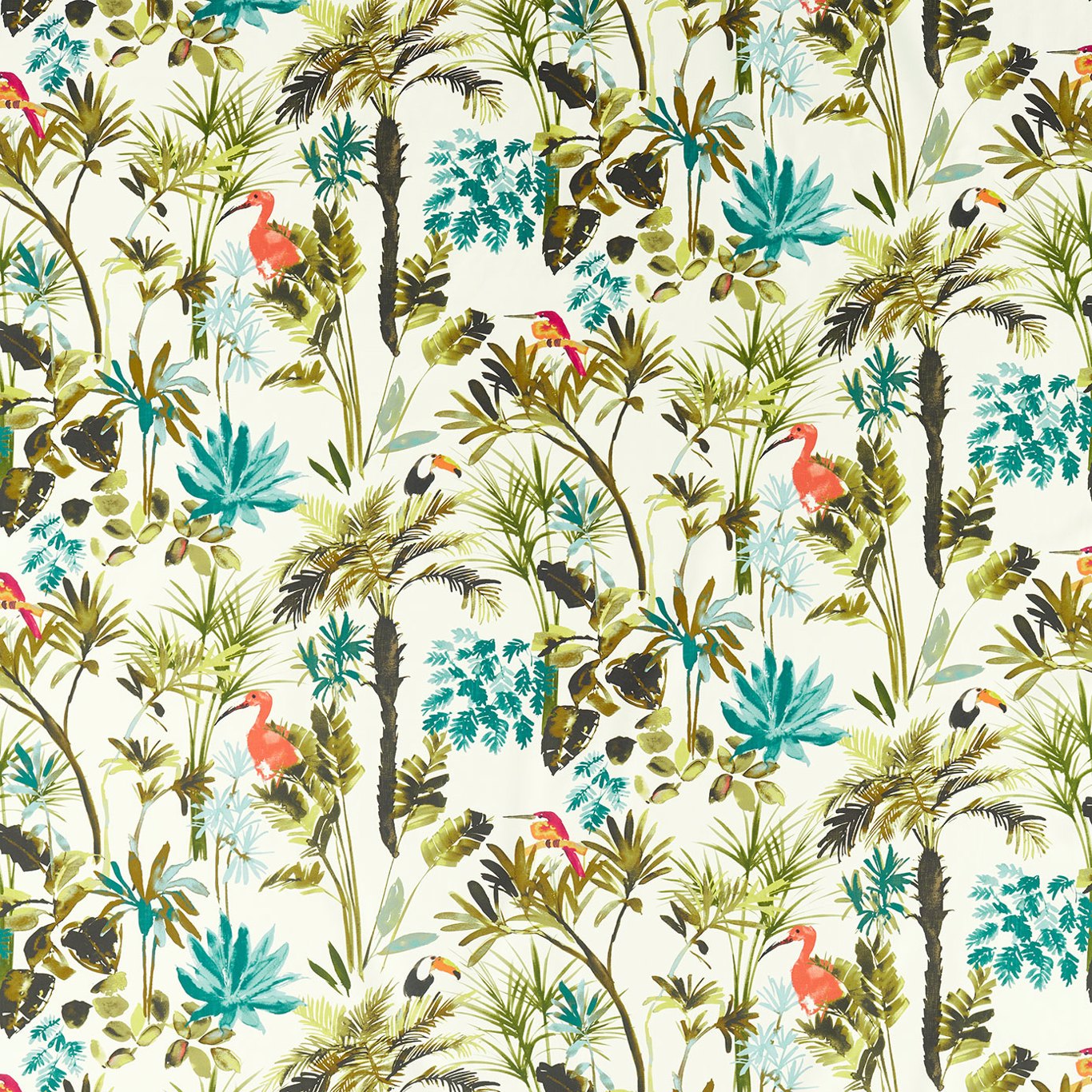 Palm