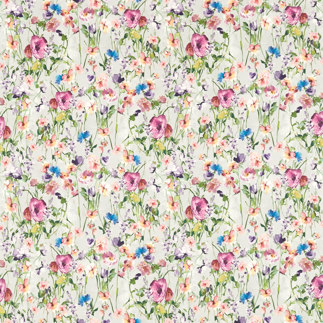 Wild Meadow