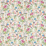Wild Meadow