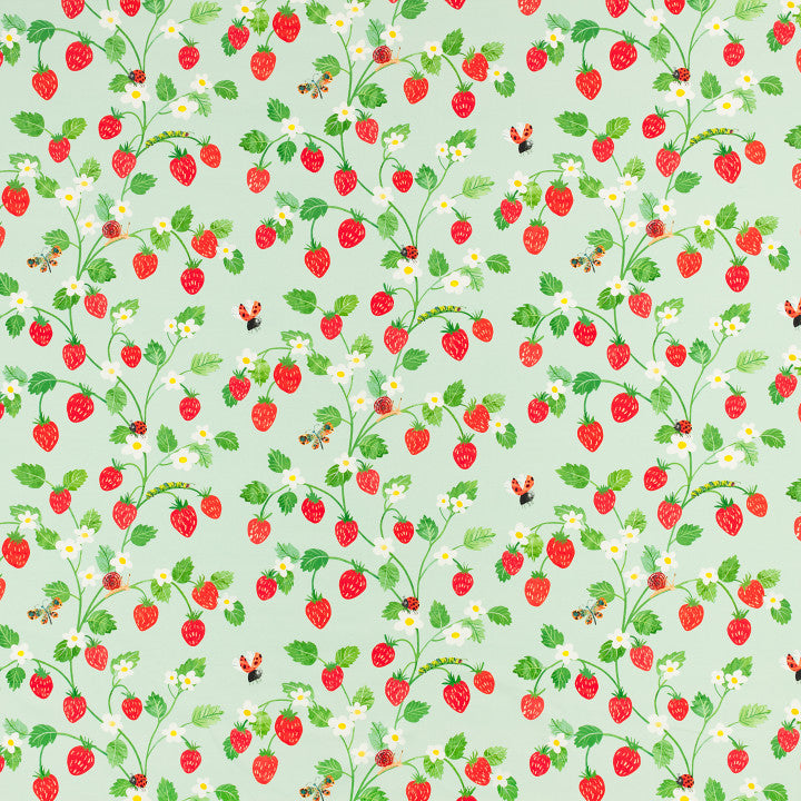 Strawberry Patch