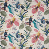 Parakeet