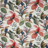 Parakeet