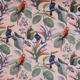 Parrot