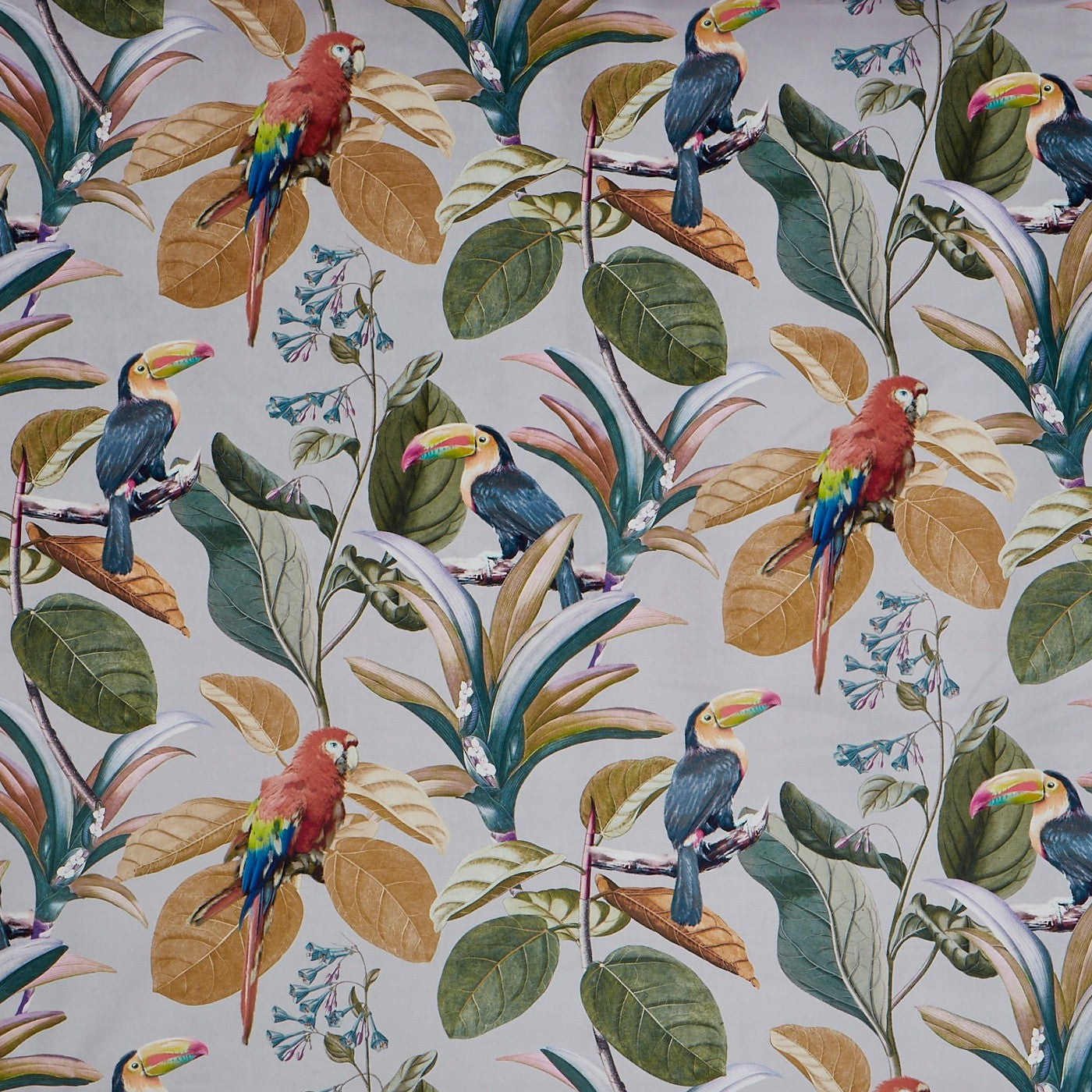 Parrot