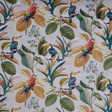 Parrot