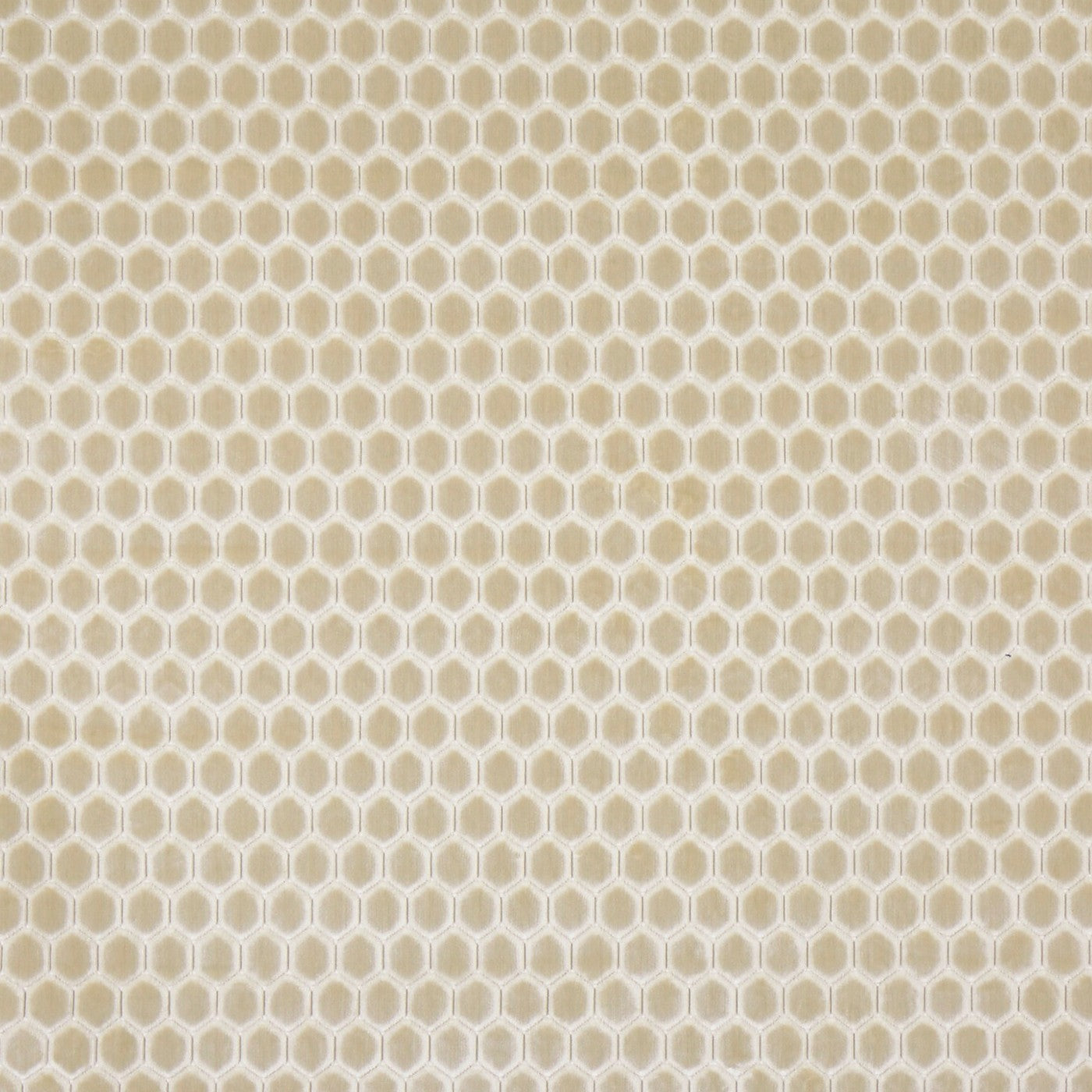 Prism