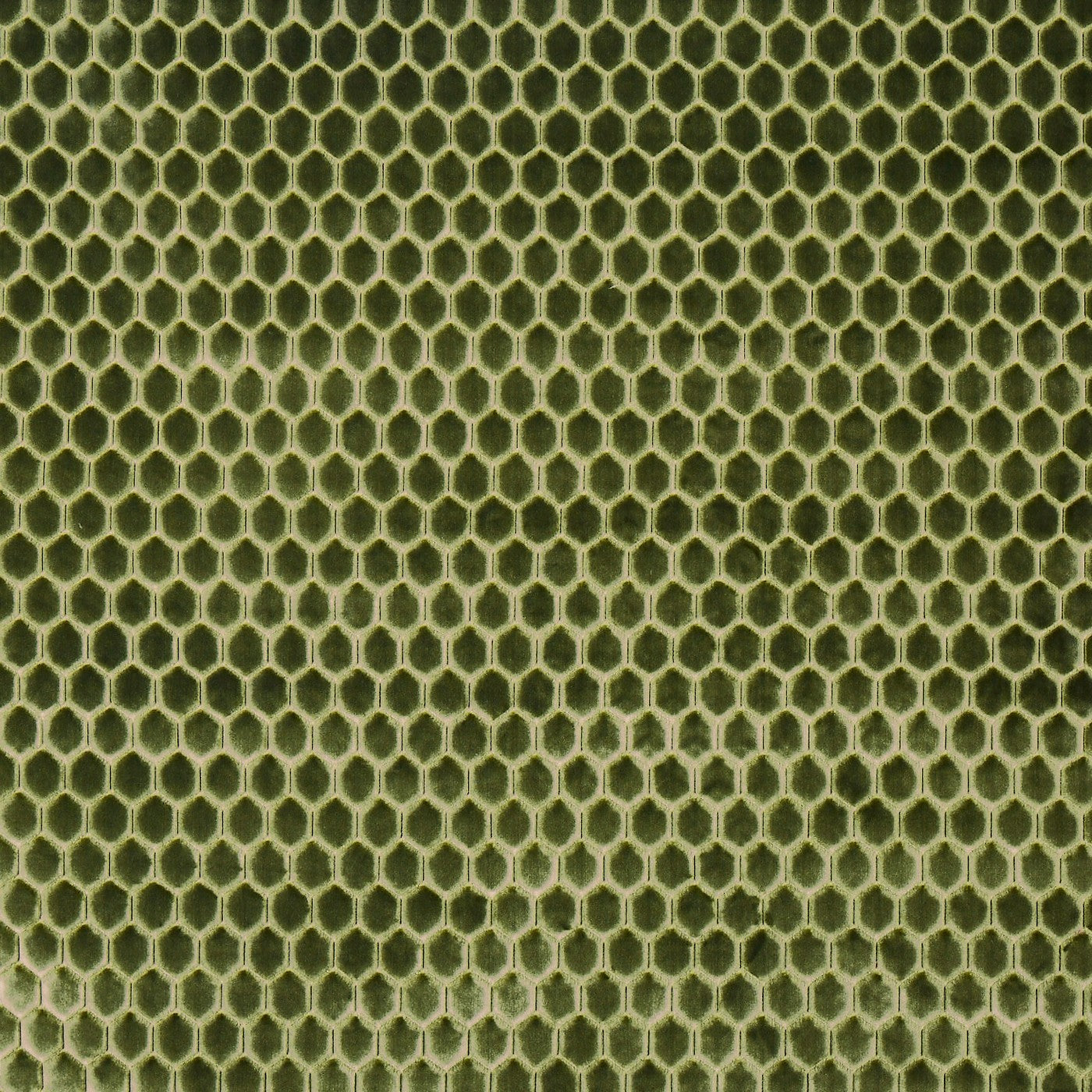 Prism