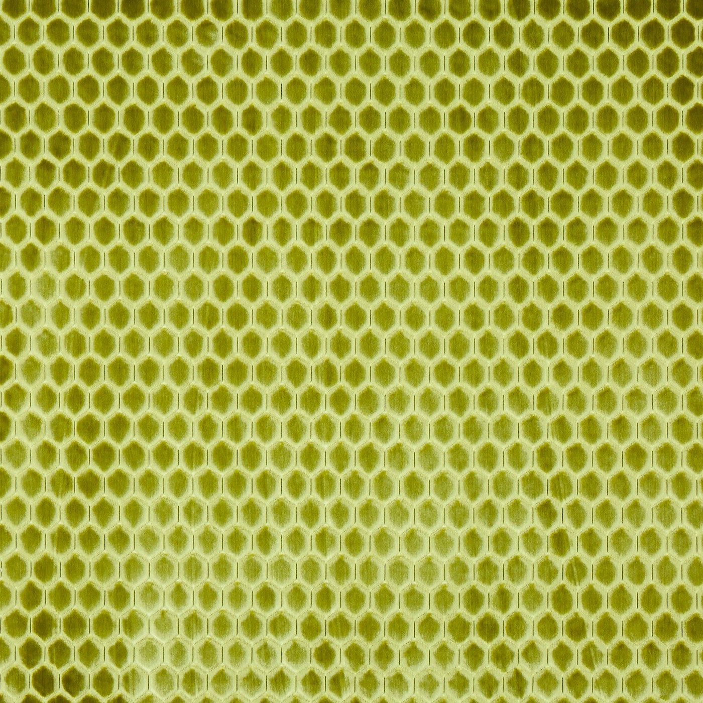 Prism