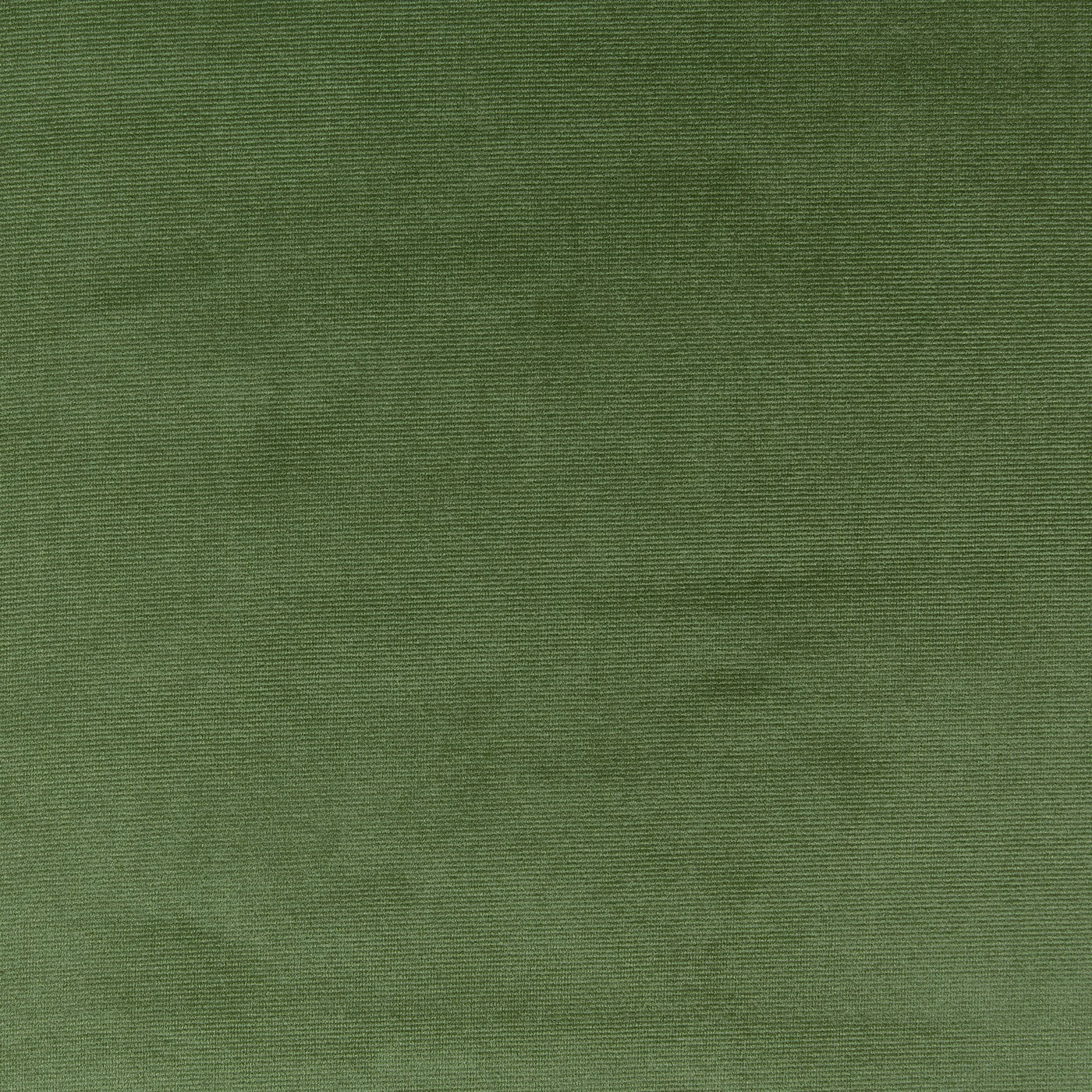 Velour