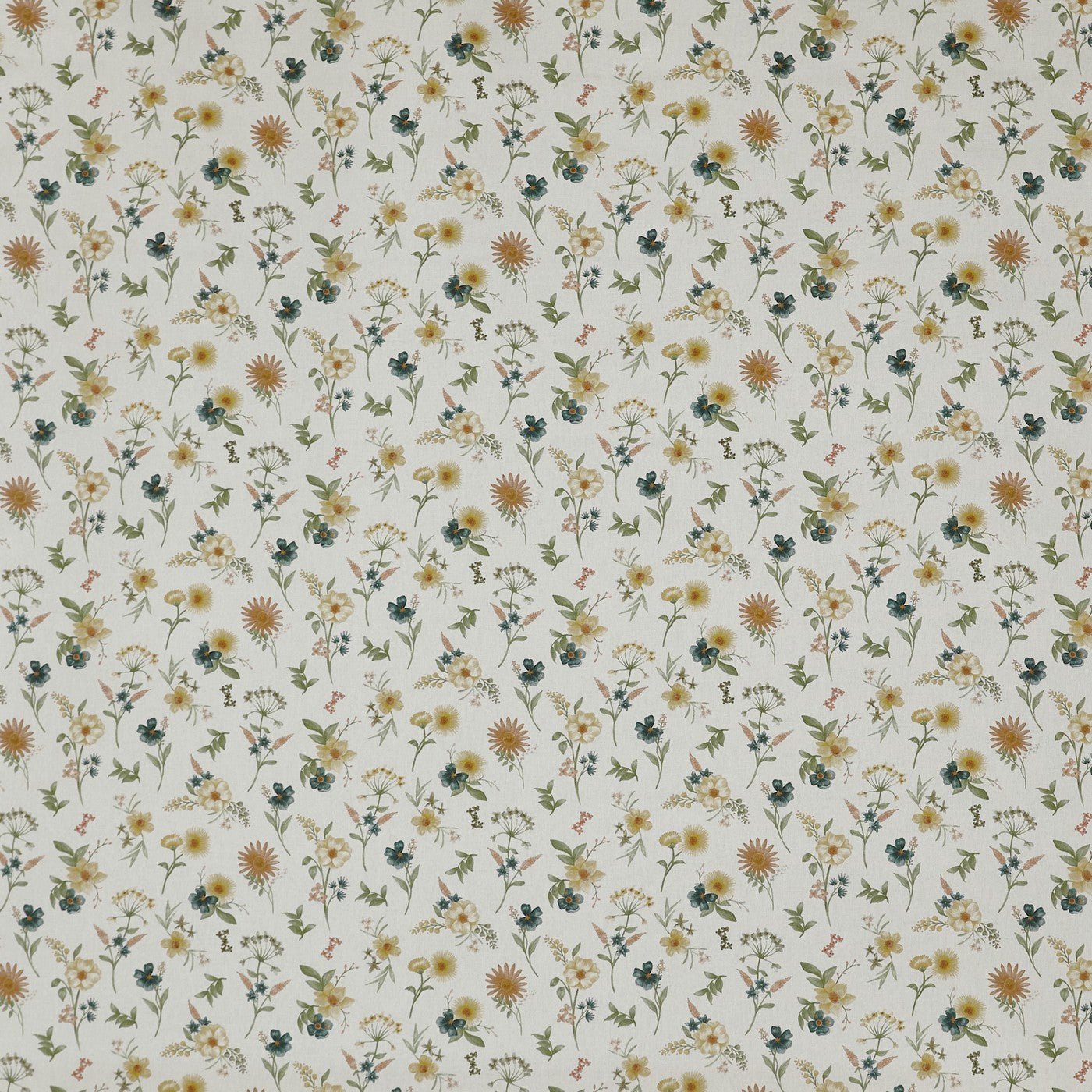 Marigold