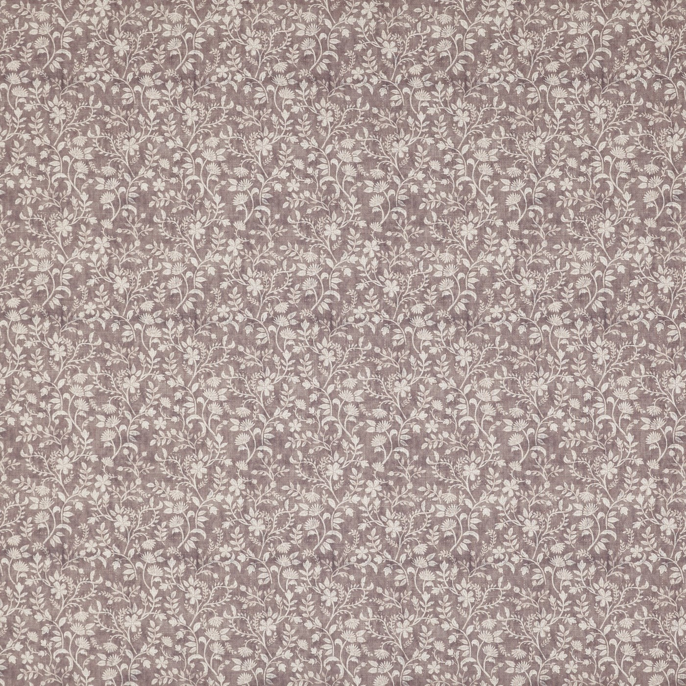 Suri