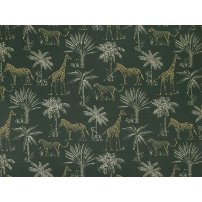 Safari