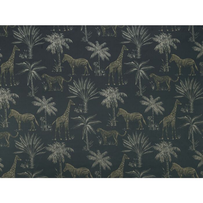 Safari