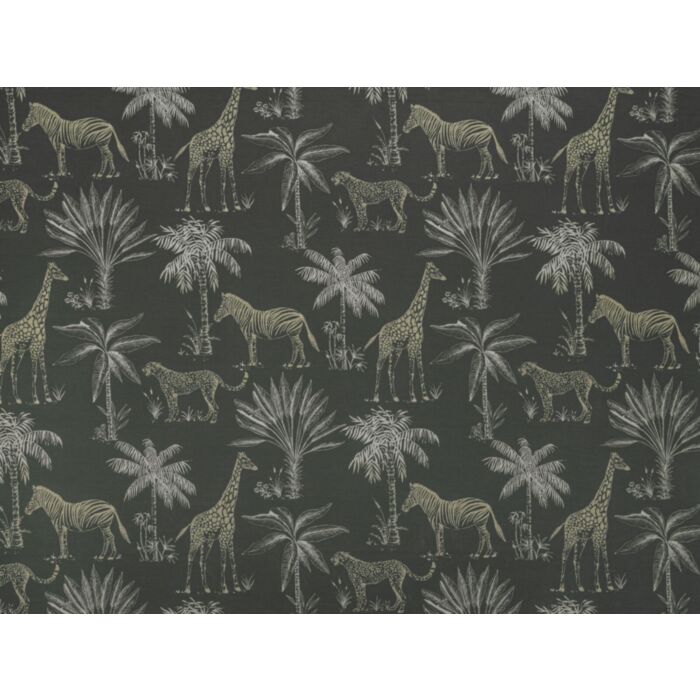 Safari