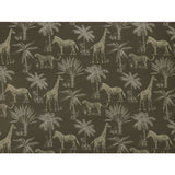 Safari